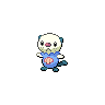Oshawott shiny