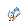Pachirisu female