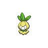 Petilil shiny