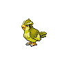 Pidgey shiny