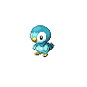 Piplup shiny