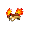 Quilava shiny