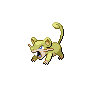 Rattata shiny