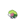 Shaymin (Land Forme)