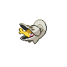 Shelmet shiny