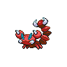 Skorupi shiny