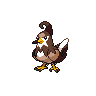 Staravia shiny