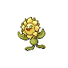 Sunflora shiny