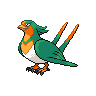 Swellow shiny