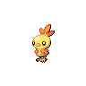 Torchic shiny