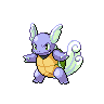 Wartortle shiny