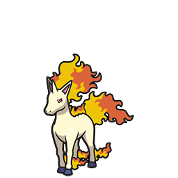Rapidash