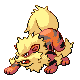 Arcanine