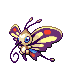 Beautifly shiny