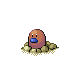Diglett shiny