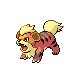 Growlithe