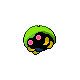 Kabuto shiny