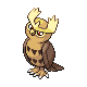 Noctowl
