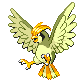 Pidgeotto shiny