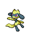 Riolu shiny