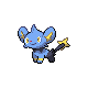 Shinx