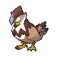 Staraptor shiny