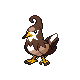 Staravia shiny