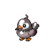 Starly
