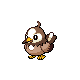 Starly shiny
