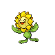 Sunflora