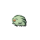 Swinub shiny