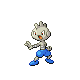 Tyrogue shiny