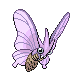 Venomoth