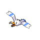 Wingull