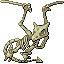 Aerodactyl female