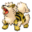 Arcanine shiny