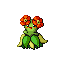 Bellossom