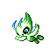 Celebi