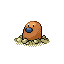 Diglett shiny