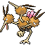 Dodrio