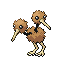 Doduo
