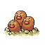 Dugtrio