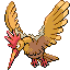 Fearow