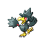 Murkrow