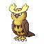 Noctowl