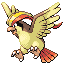 Pidgeot