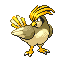 Pidgeotto shiny