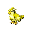 Pidgey shiny