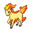 Ponyta