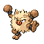 Primeape